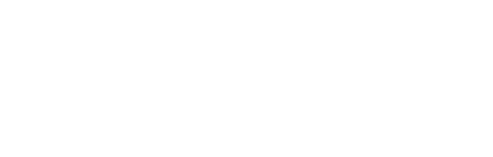 TaraChems Logo